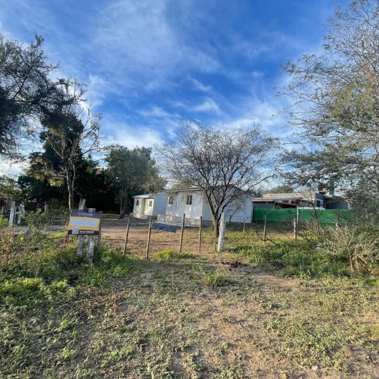 50290D50-7705-4873-974F-EB37D0B59B3D