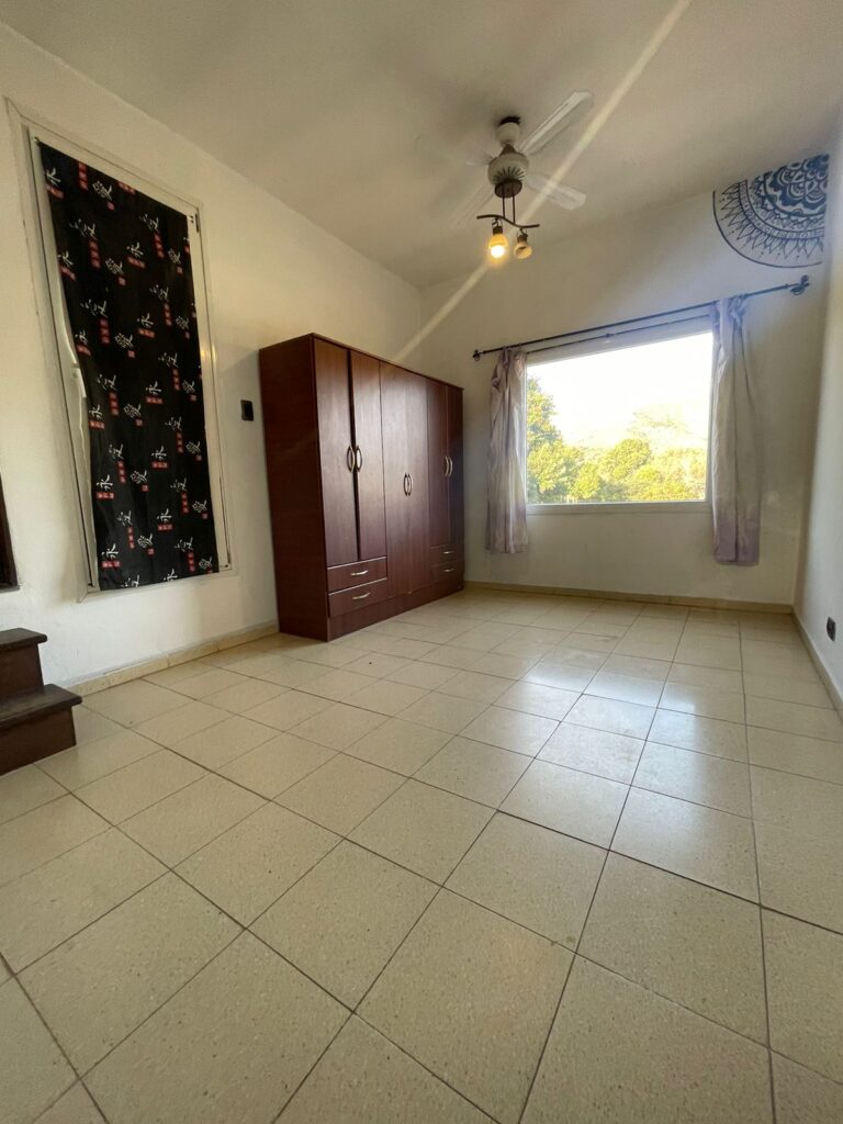 WhatsApp Image 2024-11-11 at 19.29.02