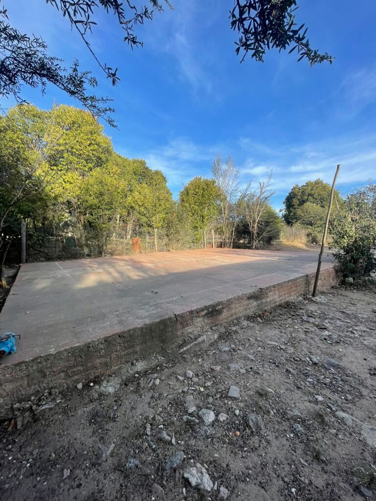 WhatsApp Image 2024-11-11 at 19.29.42 (3)