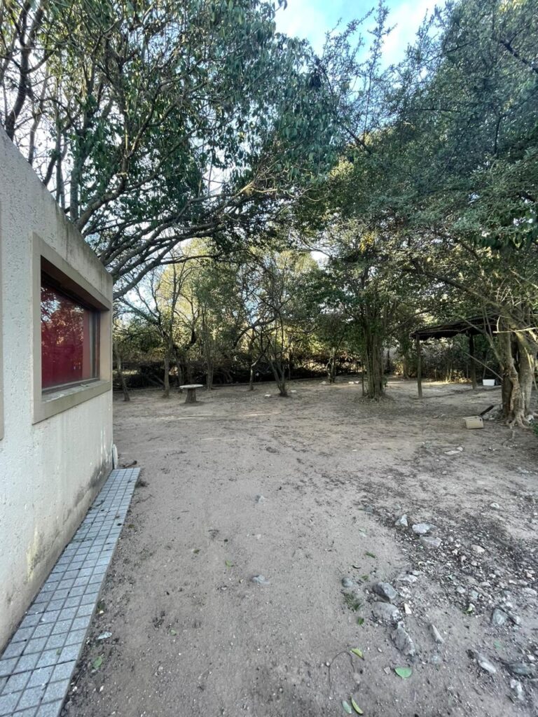 WhatsApp Image 2024-11-11 at 19.29.43 (1)