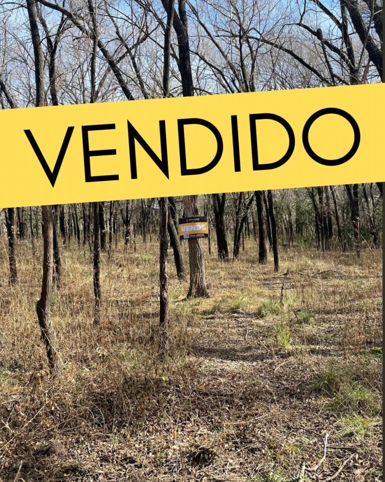 Charcoal Bronze Simple Elegant Just Sold Portrait Instagram Post