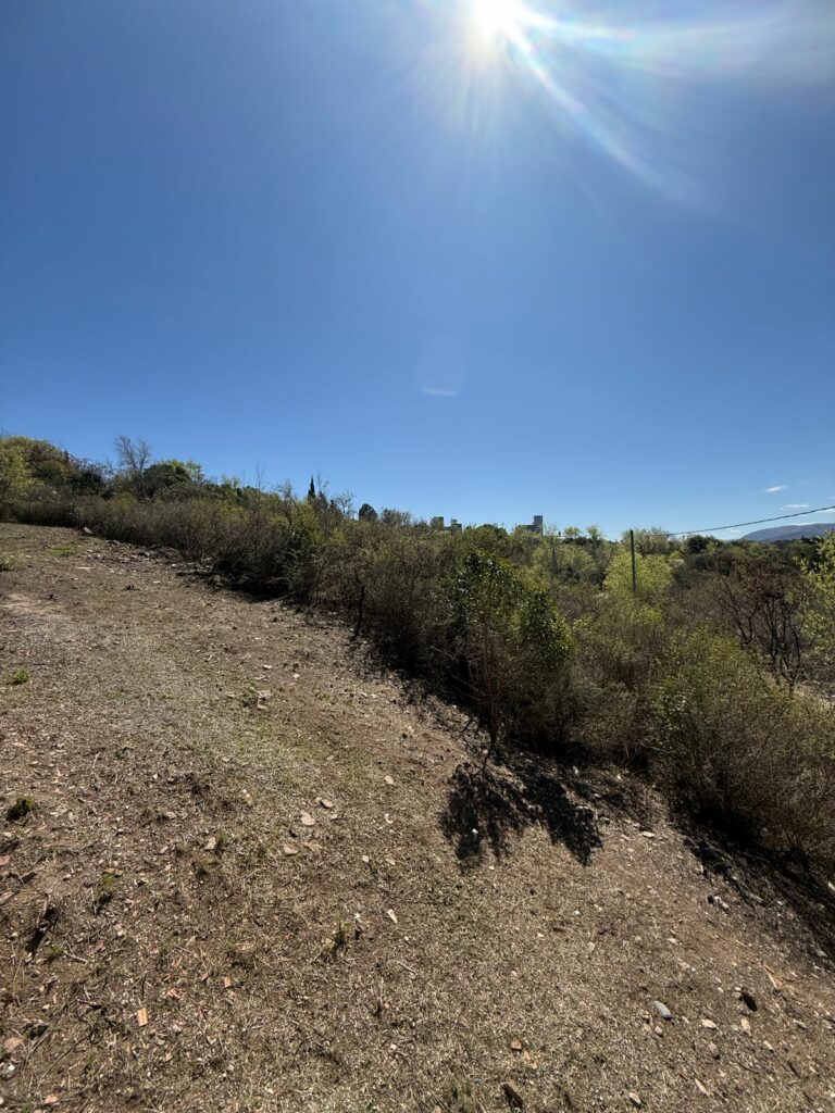 WhatsApp Image 2025-09-08 at 11.44.44(1)