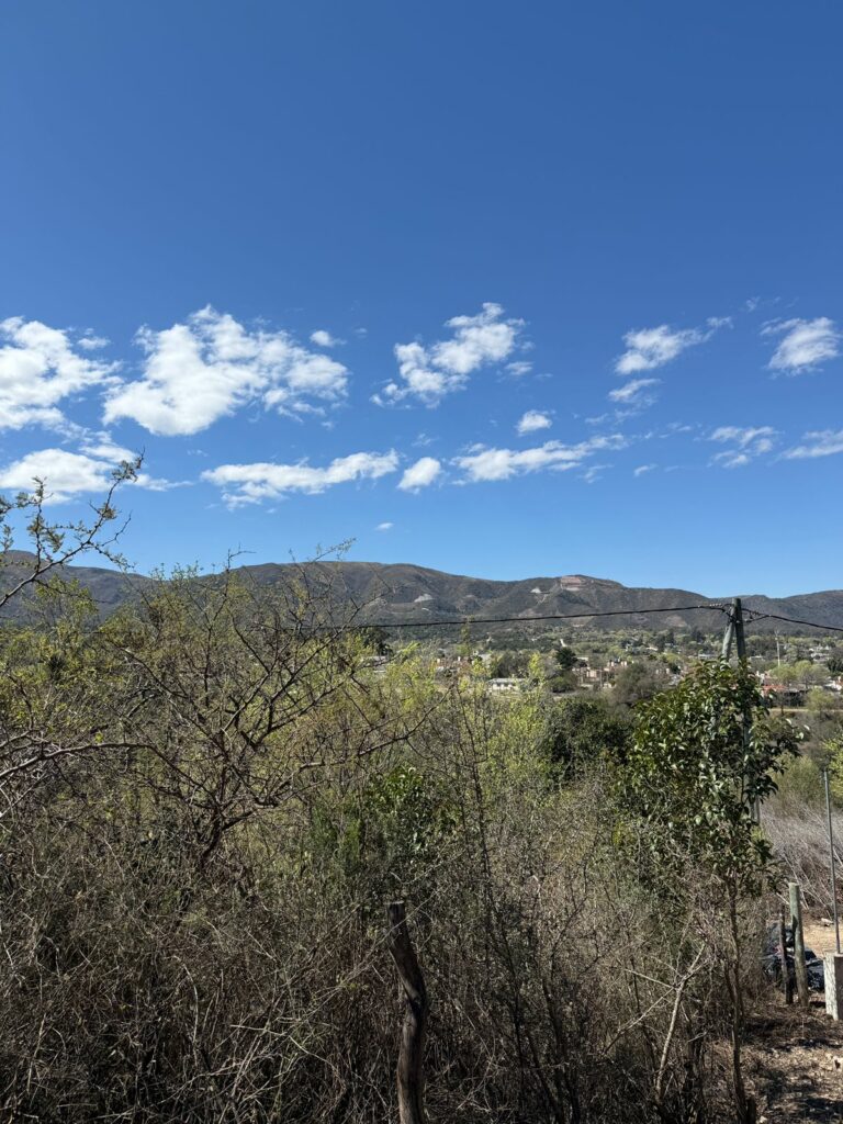 WhatsApp Image 2025-09-08 at 11.44.45