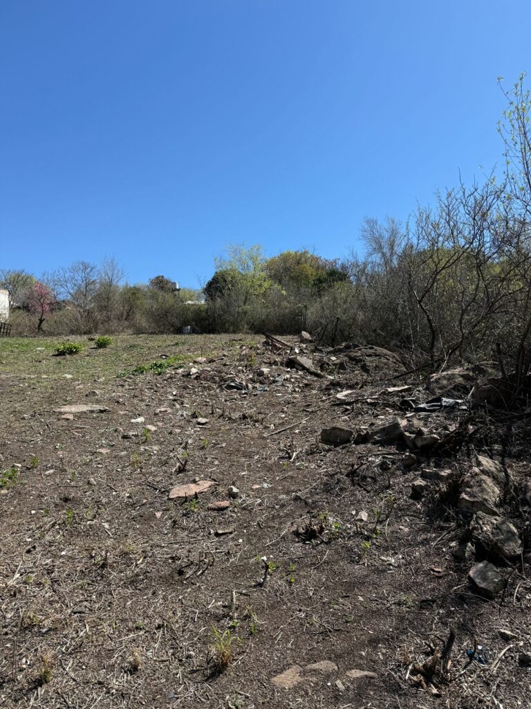 WhatsApp Image 2025-09-08 at 11.44.45(1)