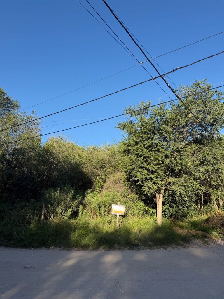 WhatsApp Image 2026-02-24 at 10.06.39