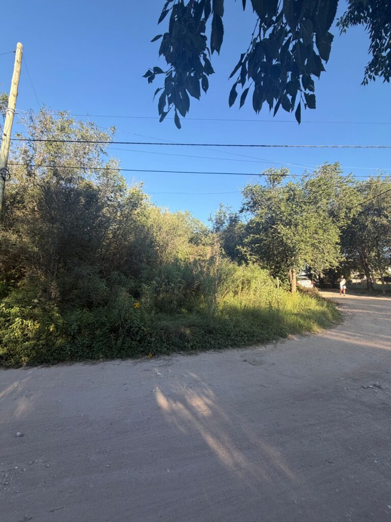 WhatsApp Image 2026-02-24 at 10.06.40