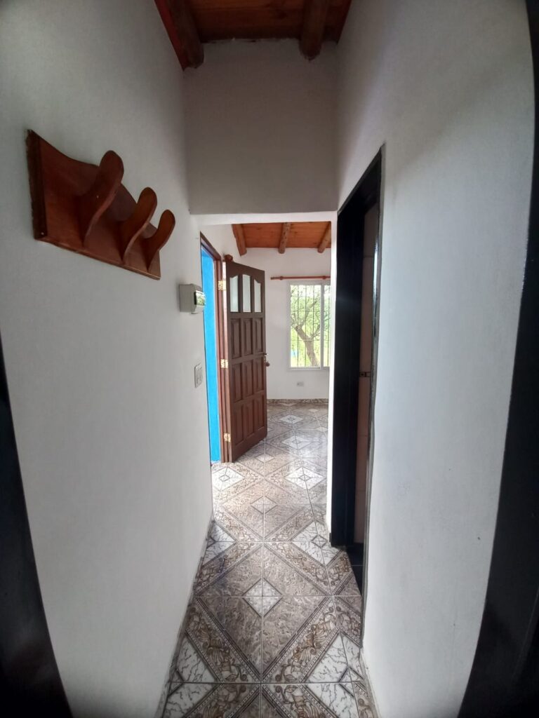 WhatsApp Image 2026-03-17 at 15.16.43