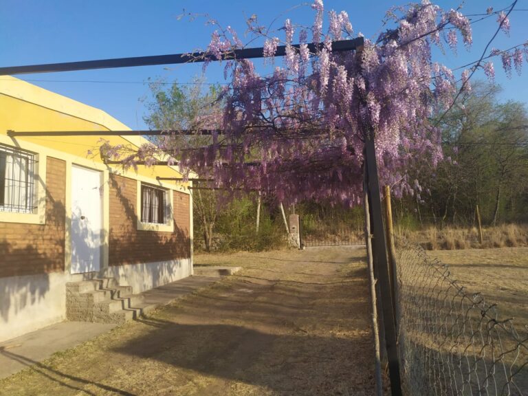 9617ad61-2549-463c-8aad-93501a299ac0